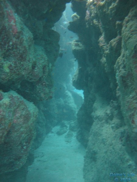 Grande Barriera Corallina 129