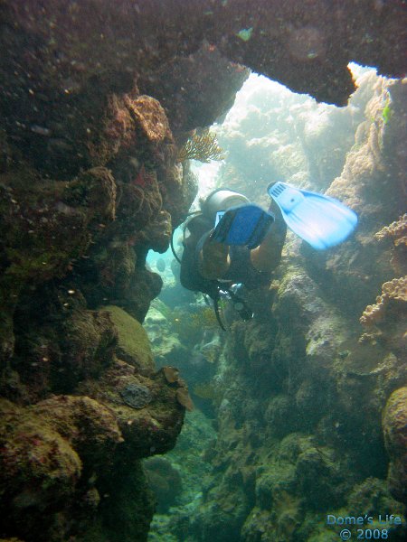 Grande Barriera Corallina 168
