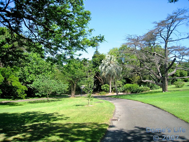 Royal Botanic Garden 14