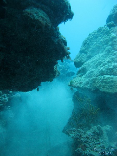 Grande Barriera Corallina 131