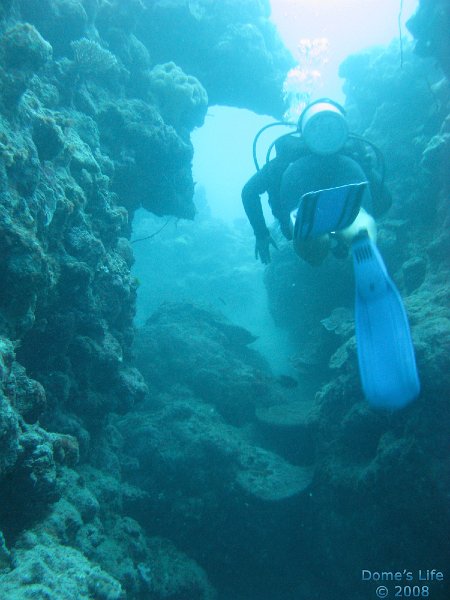Grande Barriera Corallina 157