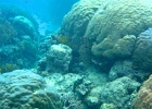 Grande Barriera Corallina_12.jpg