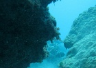 Grande Barriera Corallina_131.jpg