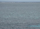 Grande Barriera Corallina_151.jpg