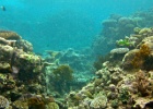 Grande Barriera Corallina_169.jpg