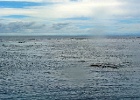 Grande Barriera Corallina_183.jpg