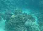 Grande Barriera Corallina_34.jpg