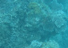 Grande Barriera Corallina_84.jpg