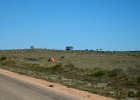 On_the_road_to_Coral_Bay_09.jpg