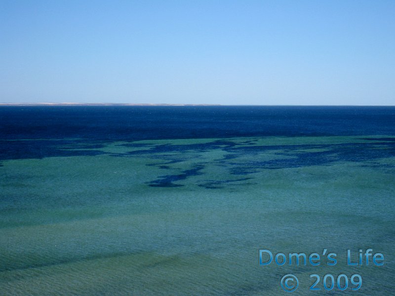 Shark Bay 09